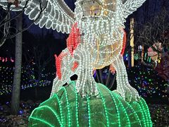 -南宫五洲植物乐园