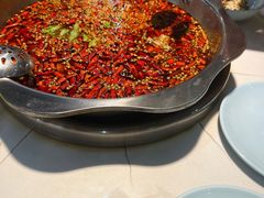 -蜀今朝美蛙鱼头火锅(筠连店)