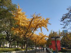 -人民广场
