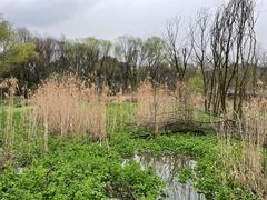 -西湖风景区-江洋畈生态公园
