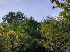 -青岛中山公园-索道售票处