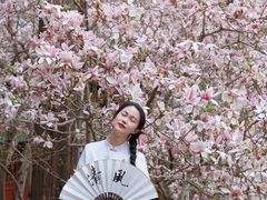 -潭柘寺景区