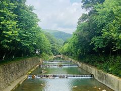 -广州白江湖森林公园