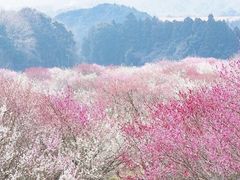 -大七孔景区-天生桥