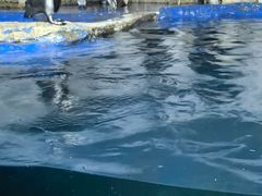 -太平洋海底世界