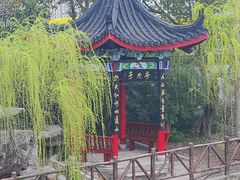 -南汇桃花村