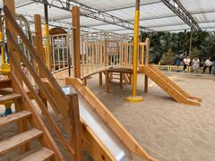 -南宫五洲植物乐园