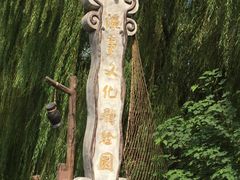 -溱湖国家湿地公园