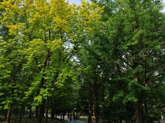 -国家植物园南园