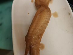 -粥君好殿·道滘肉丸粥(文华路店)