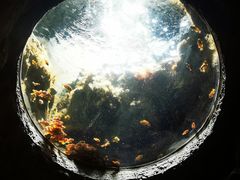 -珠海长隆海洋王国