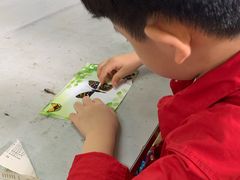 -上海昆虫博物馆