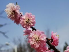 -鹫峰国家森林公园