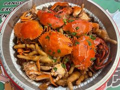招牌肉蟹煲-胖哥俩肉蟹煲(石家庄长安万达店)