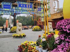 -中国翰园碑林