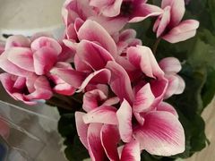 -三旗百汇商品城