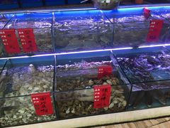 -阳光海鲜大排档