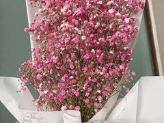 -聚味罗记大排檔·鲜鱼杂·甲鱼煲•龙虾馆(科学馆店)