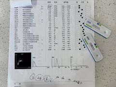 -瑞派宠物医院·犬猫全科·猫友好(宾水西道店)