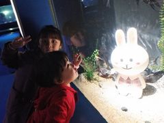 -重庆欢乐海底世界