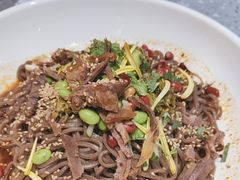 -老碗会·陕西手工面(燕南路店)