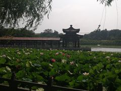 -南戴河国际娱乐中心