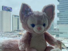 -香港尖沙咀凯悦酒店