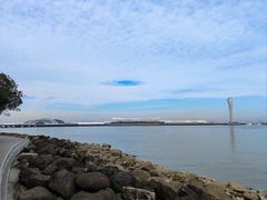 -上海吴淞炮台湾国家湿地公园