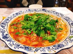 -飞虹鱼馆(春华路店)