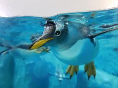 -珠海长隆海洋王国