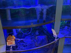 -七欣天香辣蟹火锅(上海银亿滨江店)