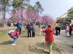 -无锡蠡湖国家湿地公园-蠡园