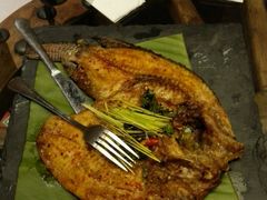 android_upload_pic-云海肴·汽锅鸡·云南菜(天津国金汇店)