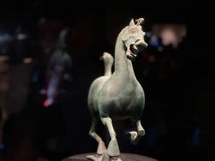 -甘肃省博物馆