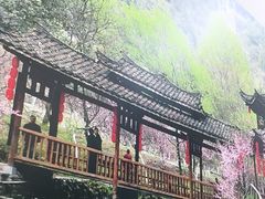 -湖南人家湘菜馆(镇江路店)
