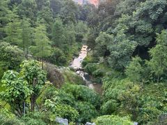 -云溪植物园