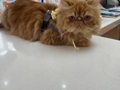 -美迦爱-牙专科·兔科·骨科诊疗中心(北苑店)