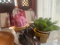 -慢丽江·云南野生菌土鸡锅(付家庄店)