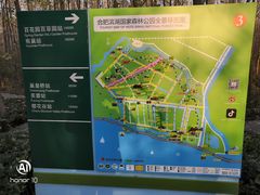 -合肥滨湖国家森林公园