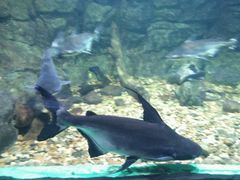 -常州海昌海洋探索馆