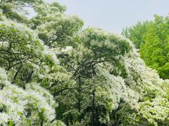 -国家植物园南园