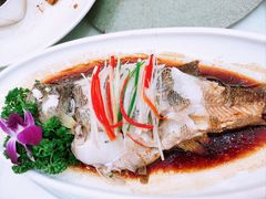 -小贝壳酒楼(经九路店)