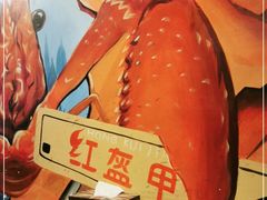 -红钳侠小龙虾·烧烤(中赢康康谷店)