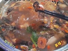 -千岛蚝高压锅生蚝·人参火锅(白云万达店)