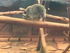 -昆明动物园