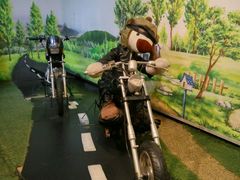 -济州岛泰迪熊博物馆