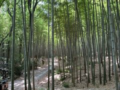 -宝岩生态观光园