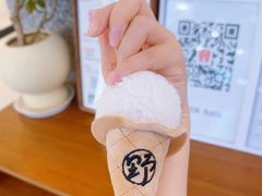 -野人先生Gelato(上海长宁龙之梦店)