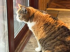 -隅cafe(傅厚岗店)