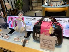 -Sony Store索尼(广州正佳店)